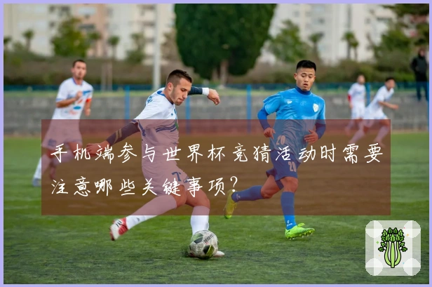 手机端参与世界杯竞猜活动时需要注意哪些关键事项？