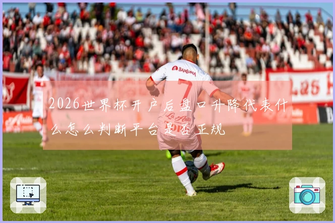 2026世界杯开户后盘口升降代表什么怎么判断平台是否正规