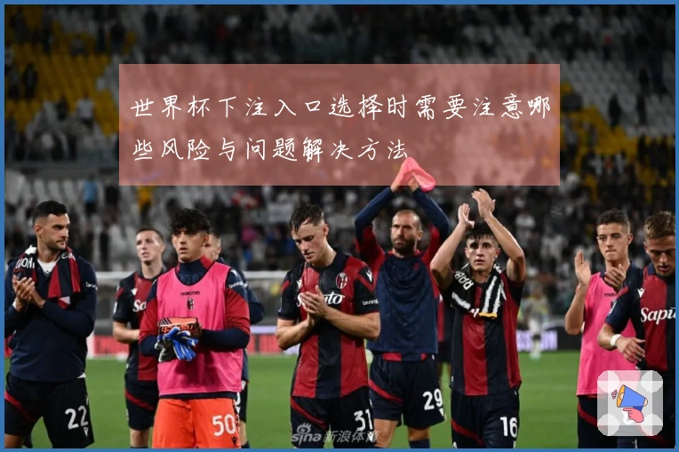 世界杯下注入口选择时需要注意哪些风险与问题解决方法