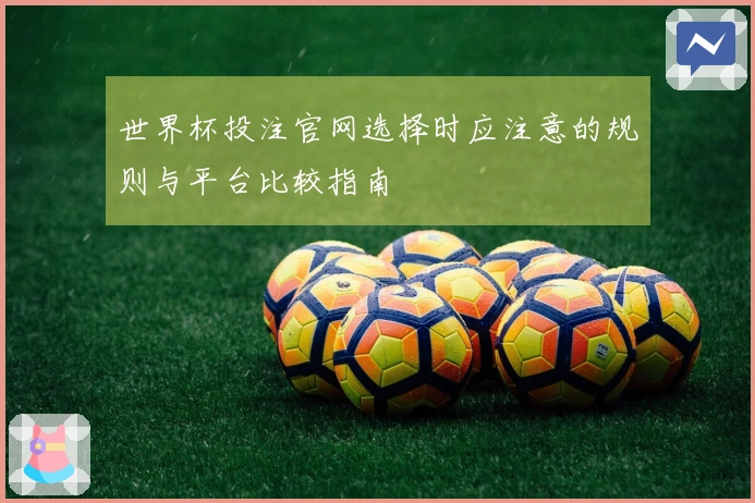 世界杯投注官网选择时应注意的规则与平台比较指南
