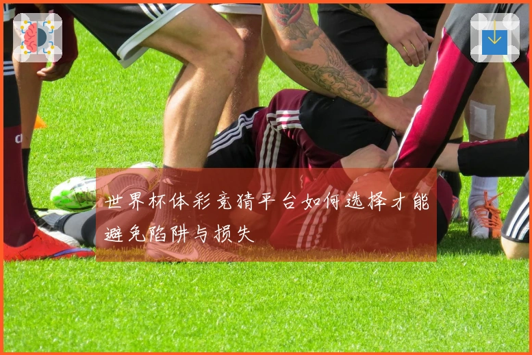 世界杯体彩竞猜平台如何选择才能避免陷阱与损失