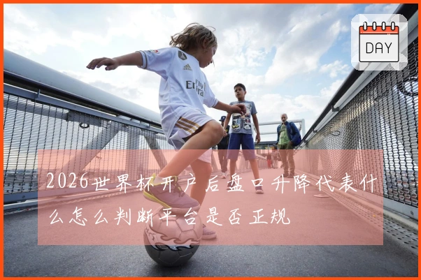 2026世界杯开户后盘口升降代表什么怎么判断平台是否正规