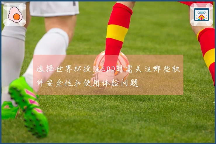 选择世界杯投注app时需关注哪些软件安全性和使用体验问题